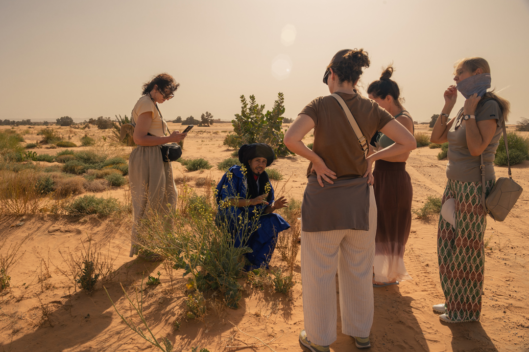 Inmersión cultural en Marruecos