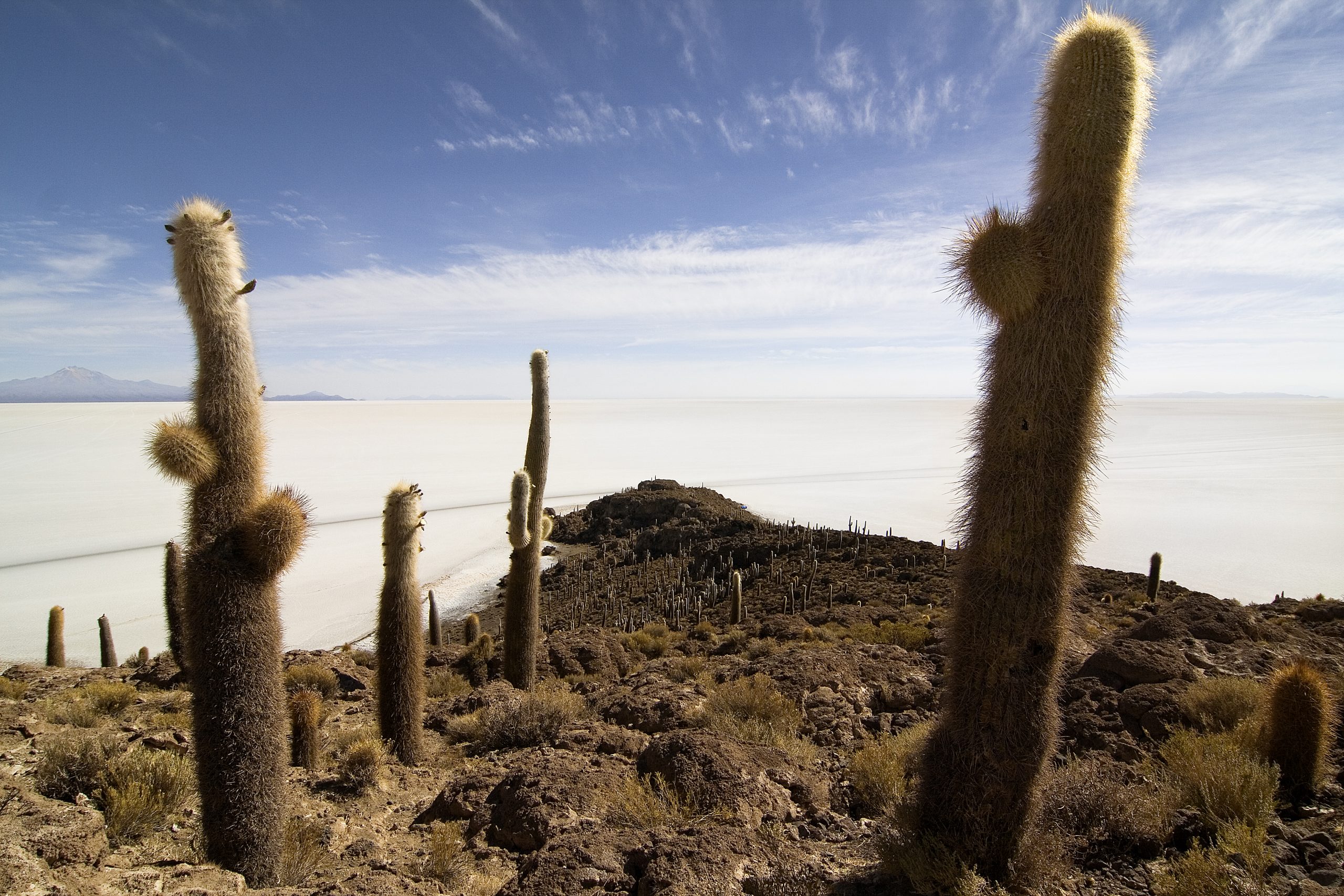 Salar de Uyuni, Bolivia
